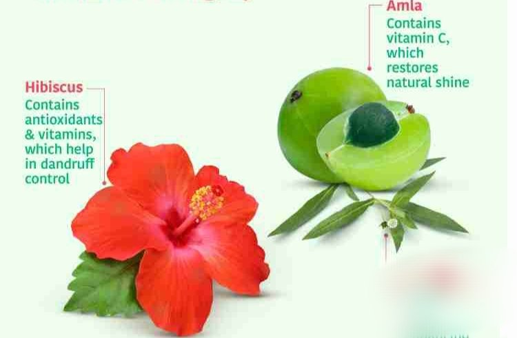 Amla & Hibiscus Hair Cleanser: Unlocking the Secret to Healthy Hair