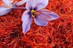  The Magic of Saffron Face Cream: A Luxurious Touch for Your Skin