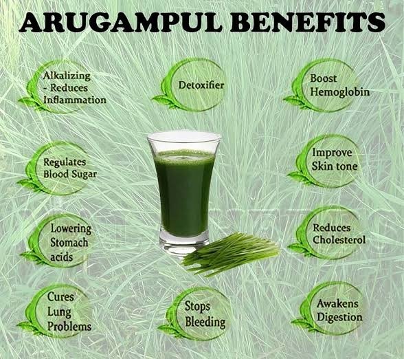 The Power of Aruganpul Powder: Nature’s Healing Gift