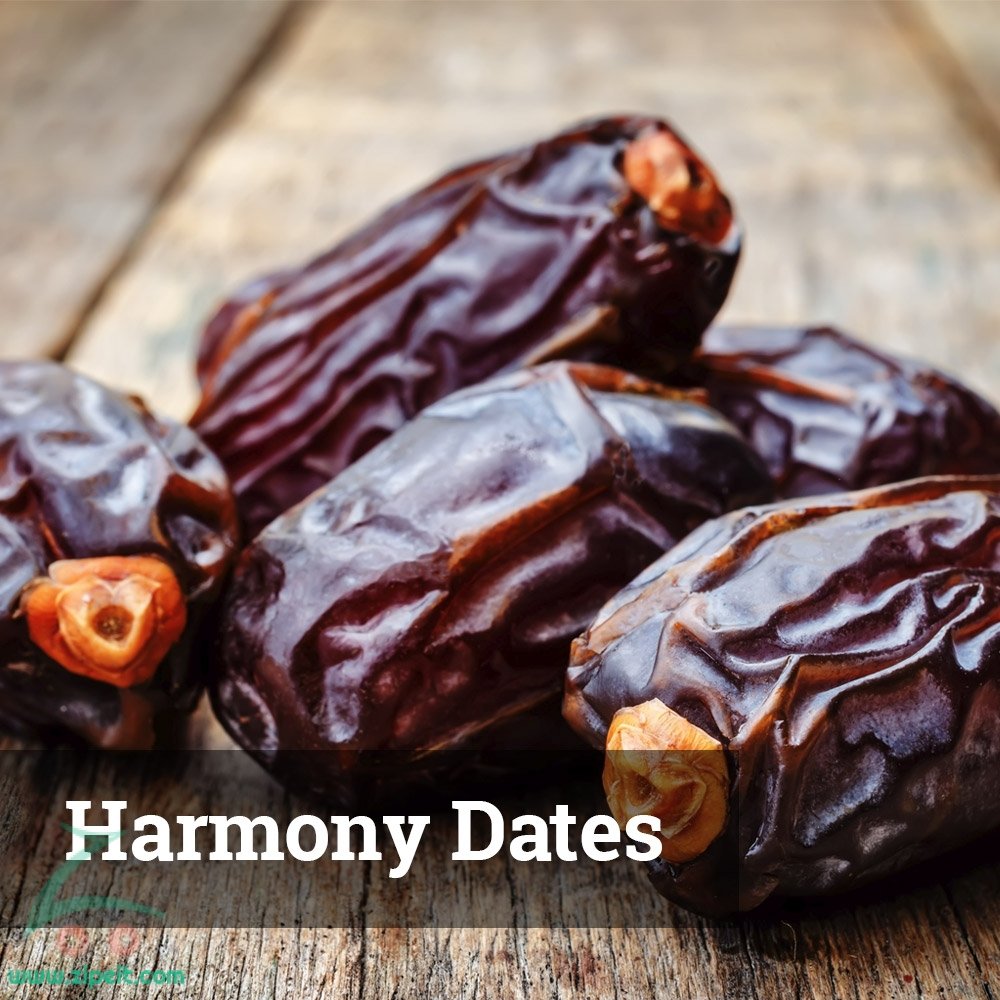 Harmony Dates - 5Kg | Shop Products Online at Best Price & Offers | Zipe it